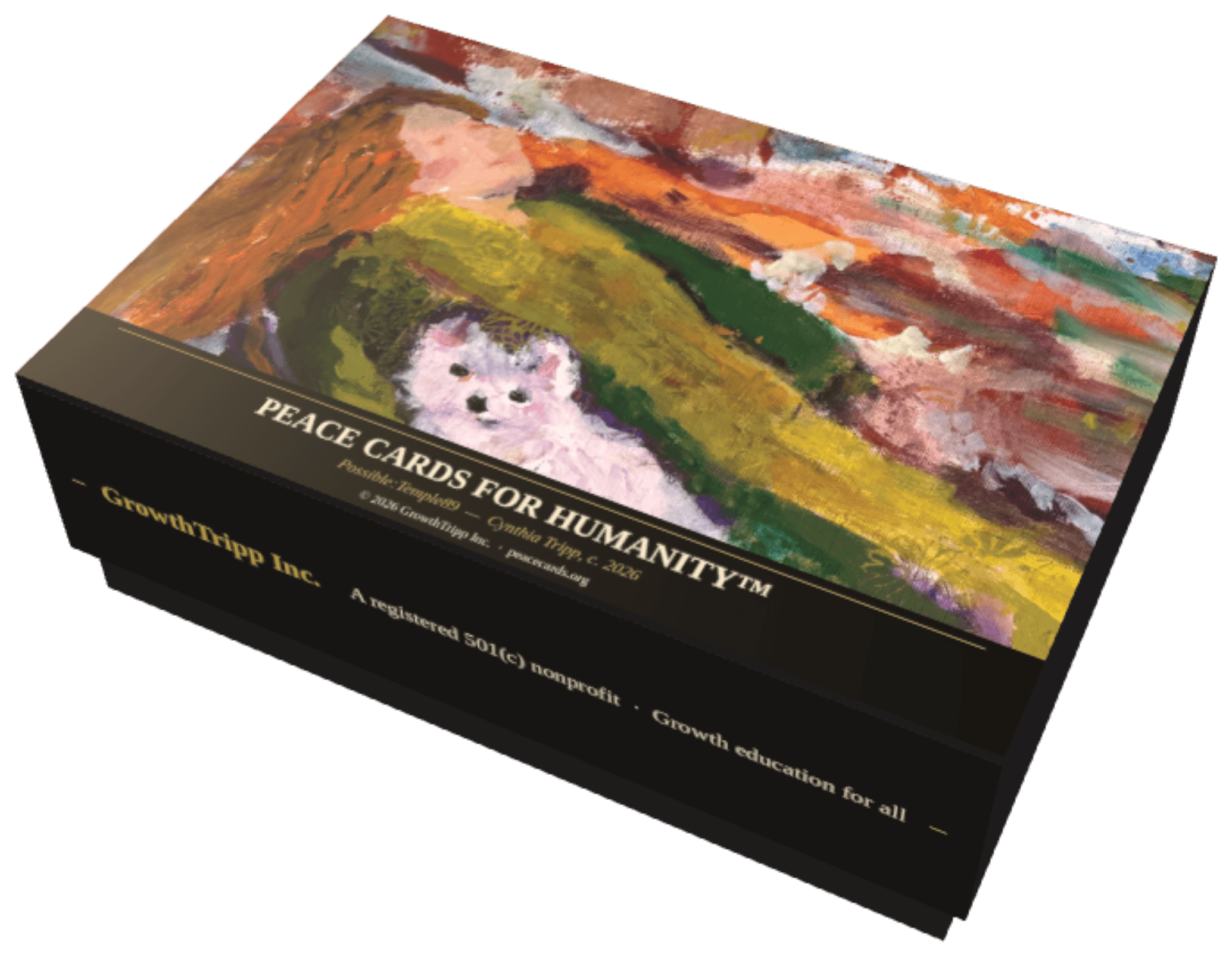 The Peace Cards for Humanity™ box