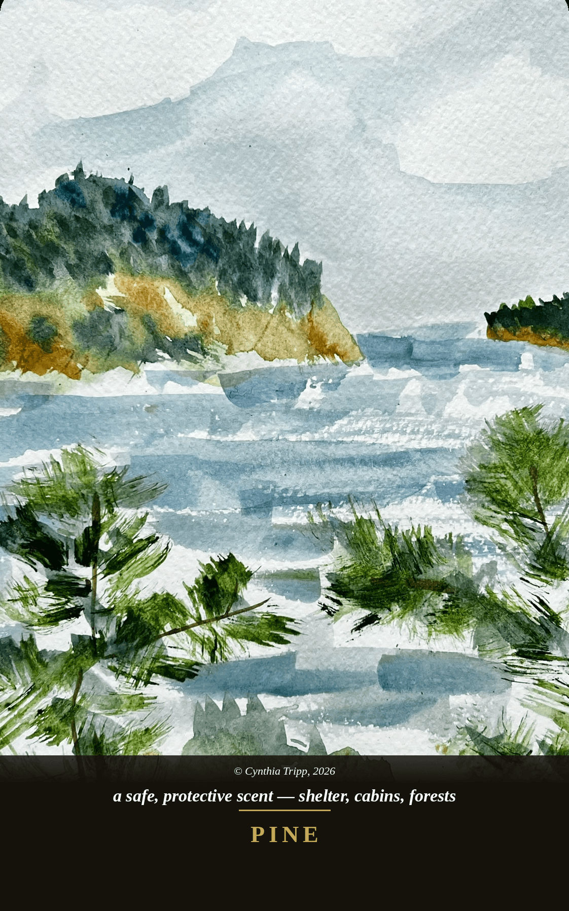 Pine — a safe, protective scent — shelter, cabins, forests. Scent deck.