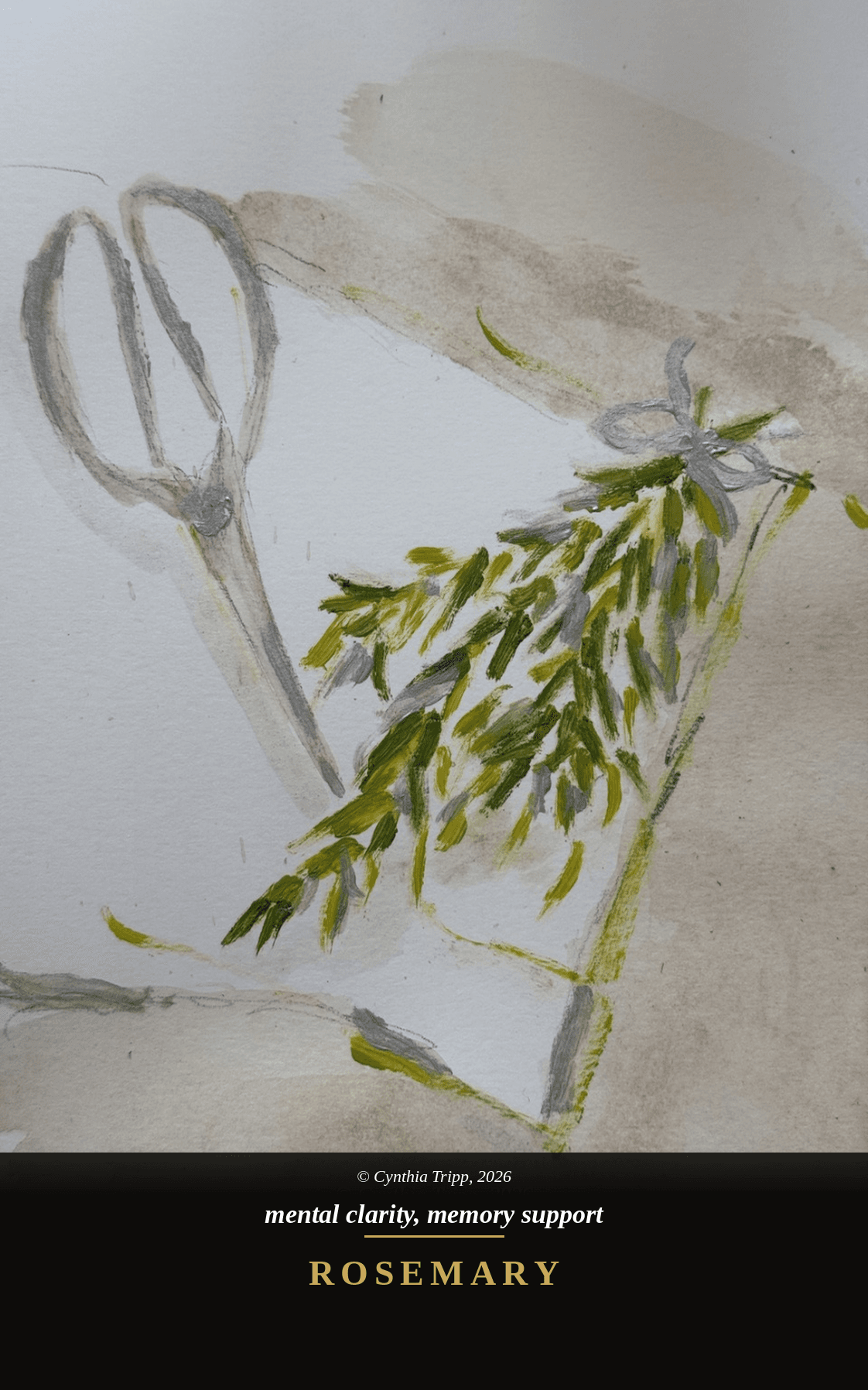 Rosemary — mental clarity, memory support. Scent deck.