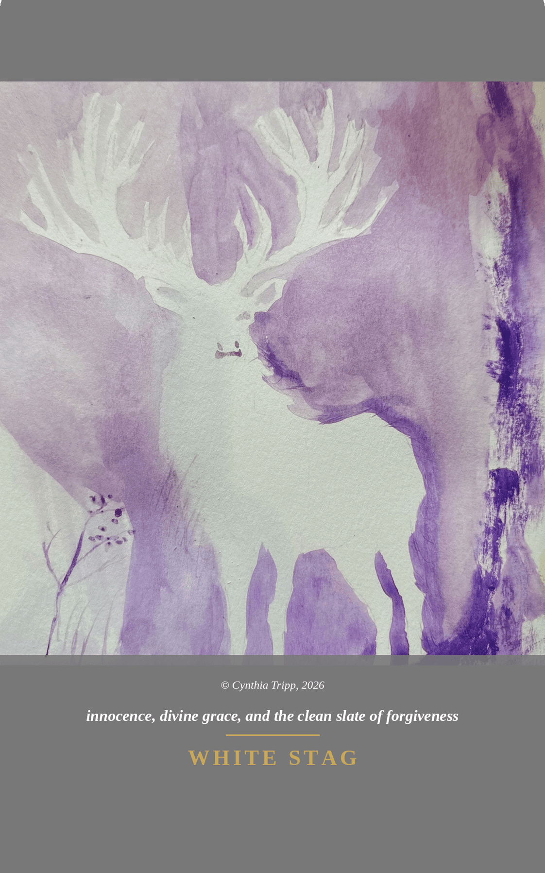 White Stag — innocence, divine grace, and the clean slate of forgiveness. Symbol deck.